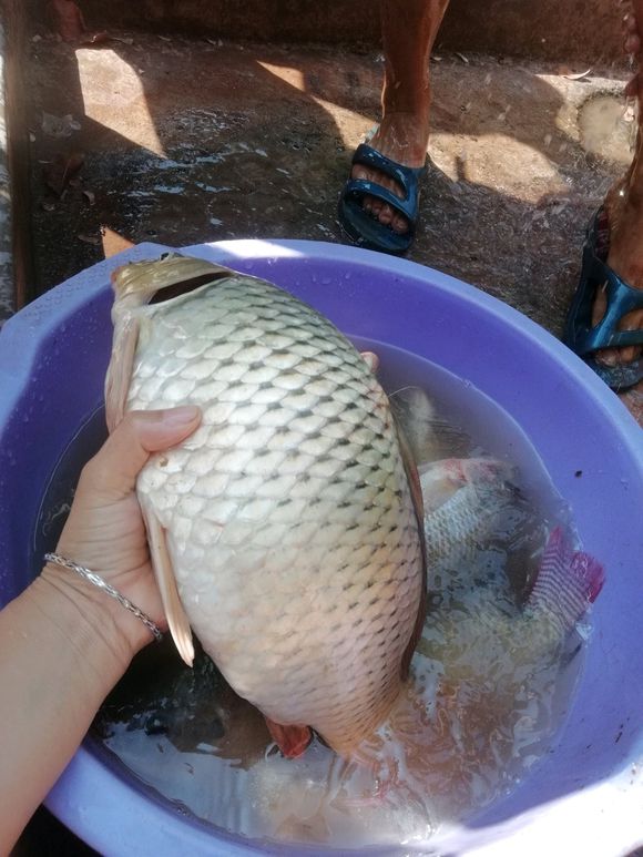 线组的正确组合和影响,线组怎么选择大小