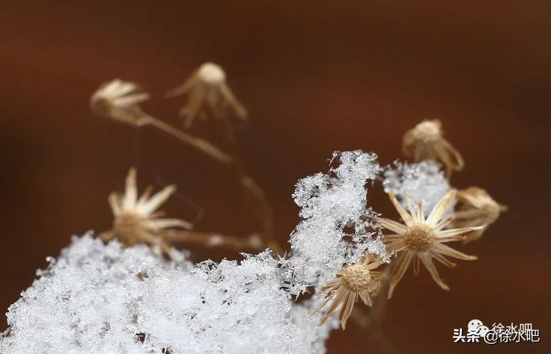 「徐水映像」换个角度看保定徐水,美