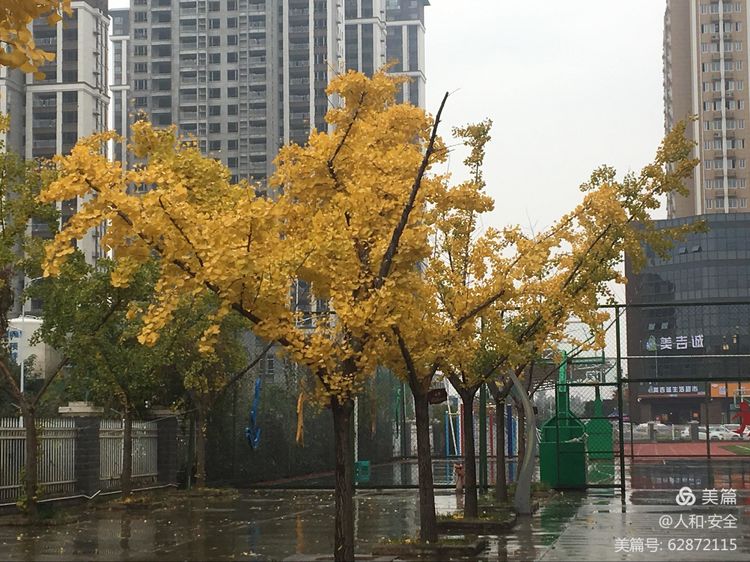 陕西省渭南市临渭区人和小学,临渭区人和小学