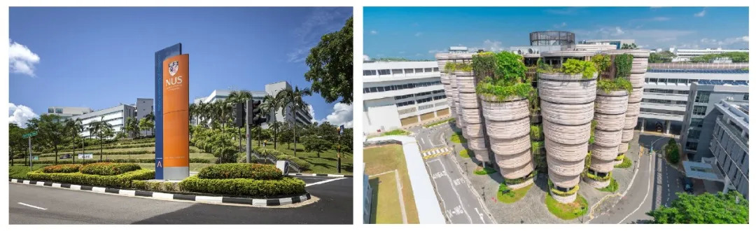 新加坡理工大学是南洋理工吗,新加坡理工学院是什么等级