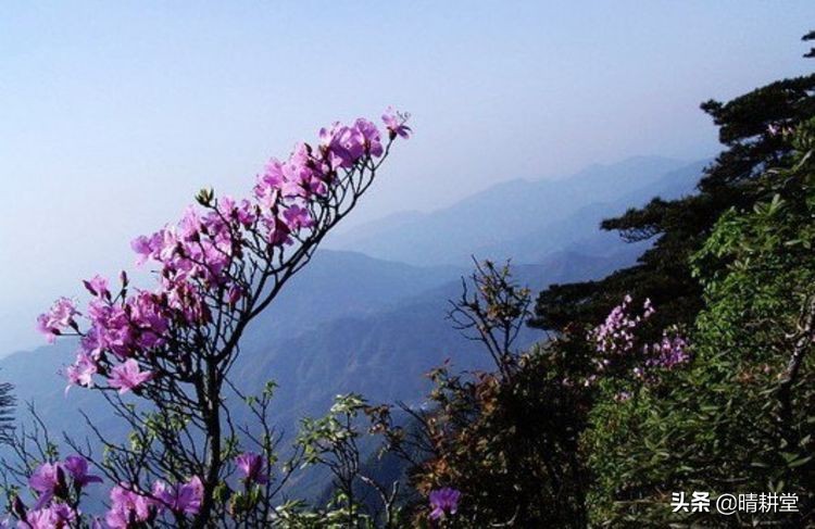 赣州峰山附近一日游自驾游景点,赣州峰山美景