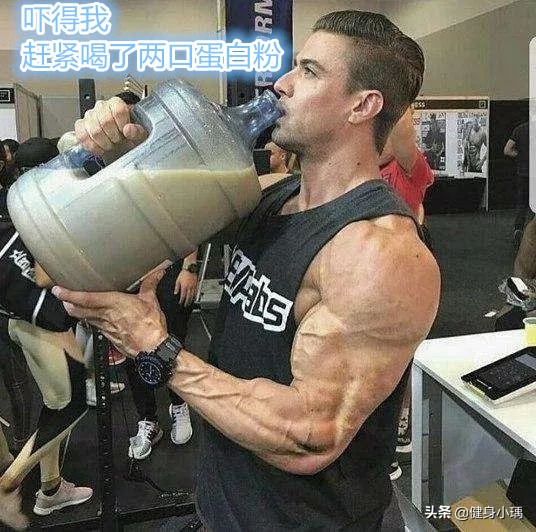 健身补剂蛋白粉控制在多少最好,健身小白蛋白粉和补剂选择