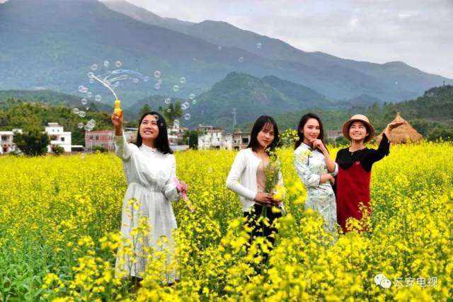 云雾山旅游区景点,美丽云雾山旅游攻略