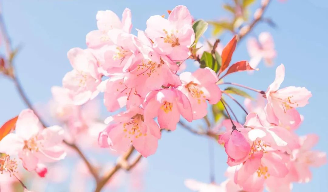 忽然想去旅游了,忽然想去宁波了