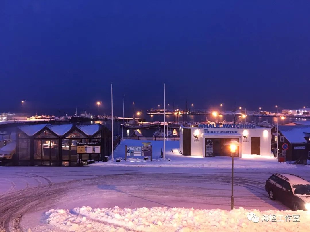 在法国留学的中国学生,在中国生活8年的法国小哥回国后