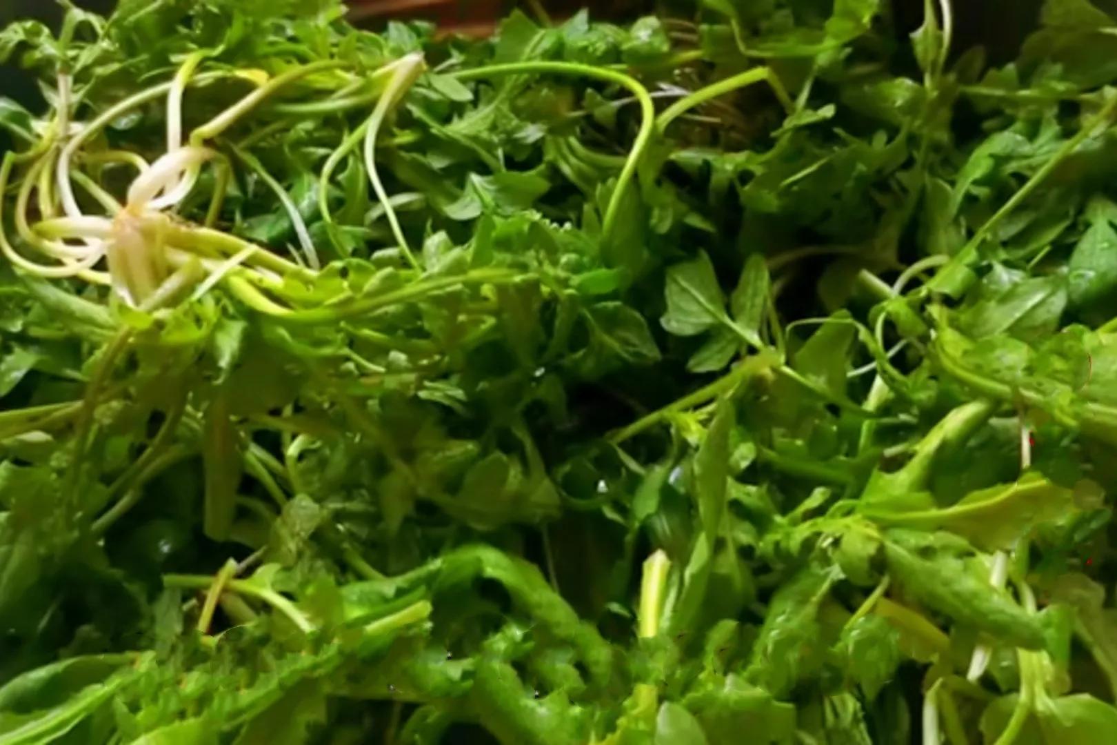 调荠菜饺子馅切记不要加一堆调料,调韭黄馅饺子馅牢记三不放