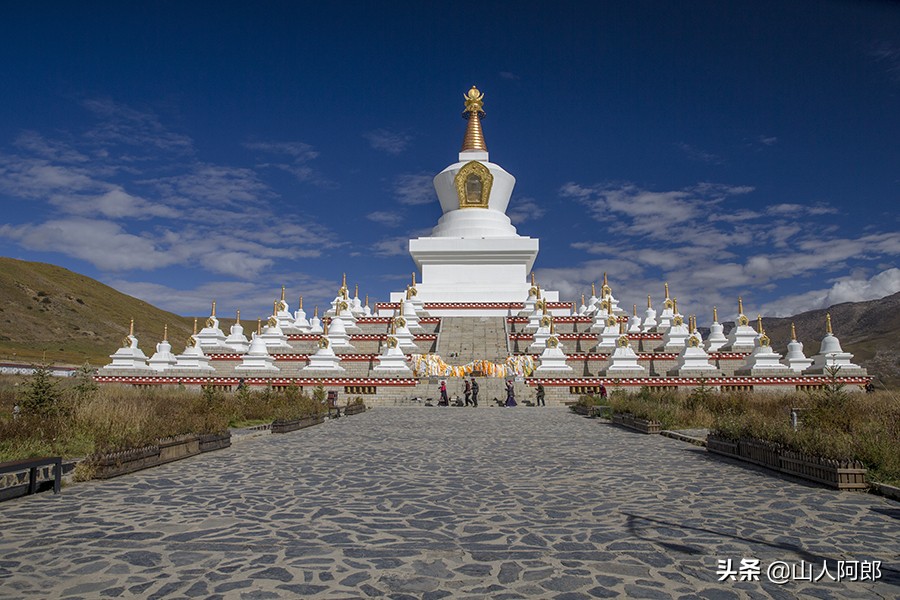 宸濊タ楂樺師澶ц崏鍘熺殑璺笂鐓х墖,闈掕棌楂樺師涓婄殑鑽夊師闆北椋庢櫙