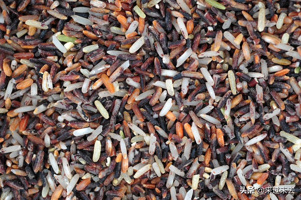 色香味俱全美食教程,色香味俱全的菜教程