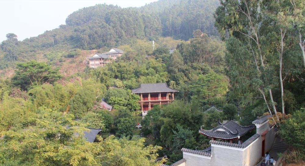 种植樱桃带动群众致富业绩介绍,下岗工人创业2元糖葫芦年赚2千万