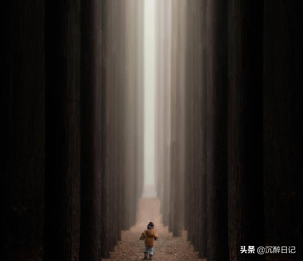 儿子用他的马大哈,来了一次实力坑爹