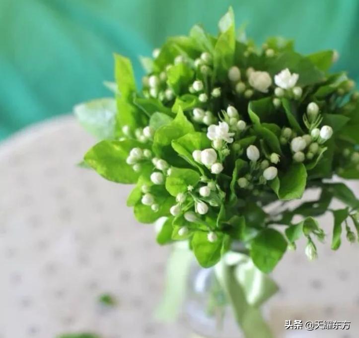 佛说的糊涂是一种心态,佛说活得糊涂的人容易幸福