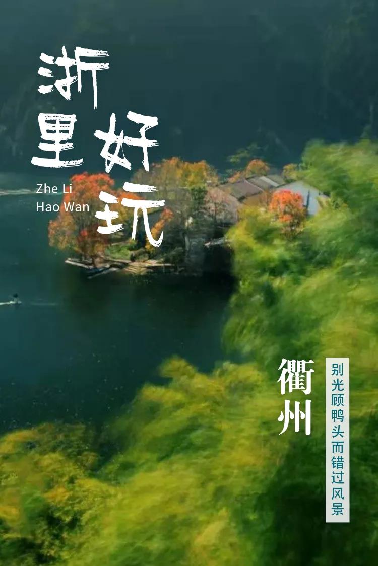 衢州为啥没有衢州鸭头,衢州鸭头不一样