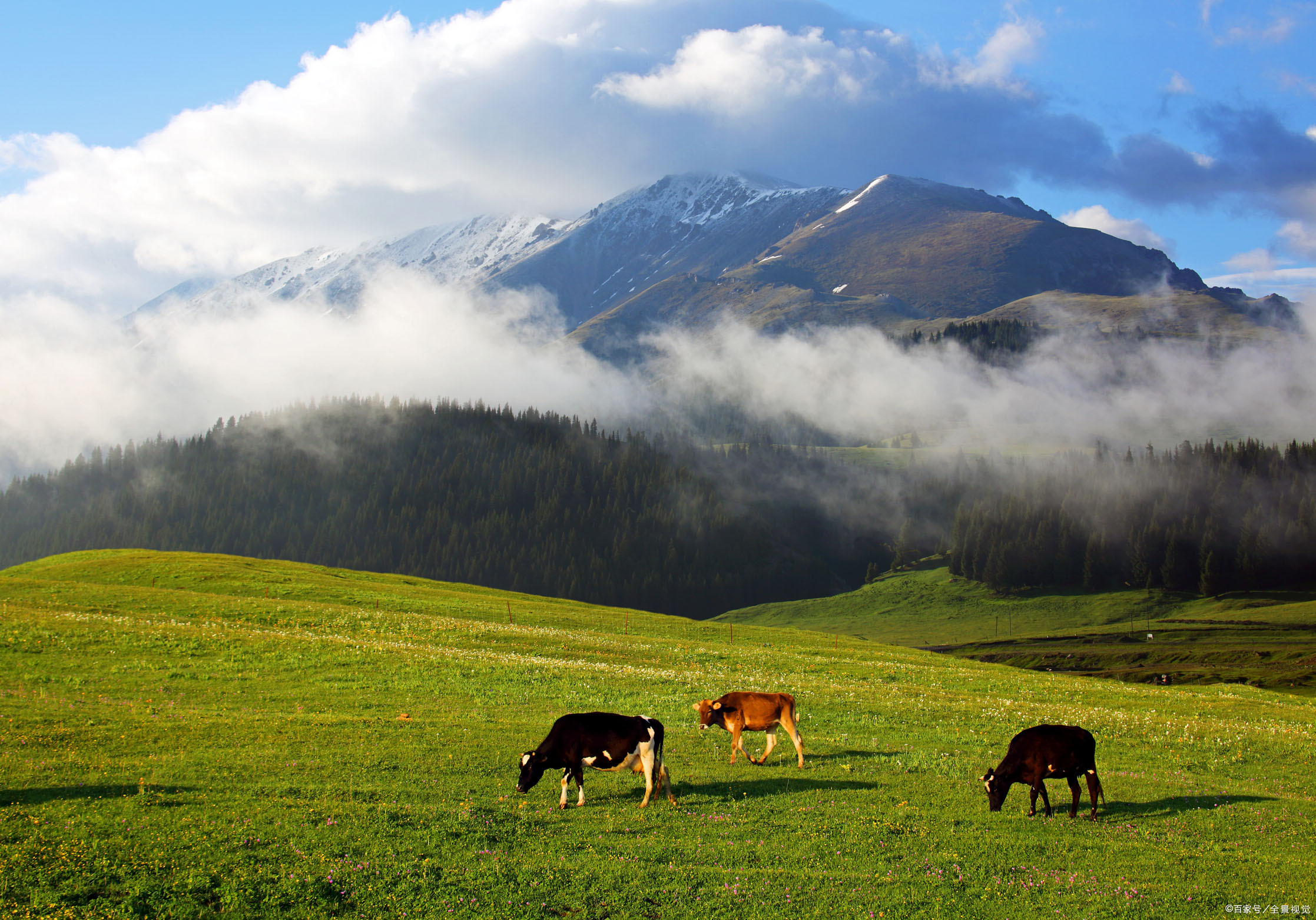 伊犁果子沟——山奇石怪的奇绝仙境