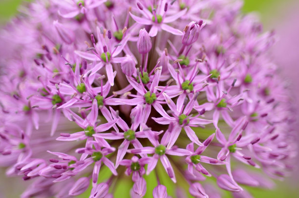 如何学会跟女生聊天,和不会聊天的女生怎么聊天
