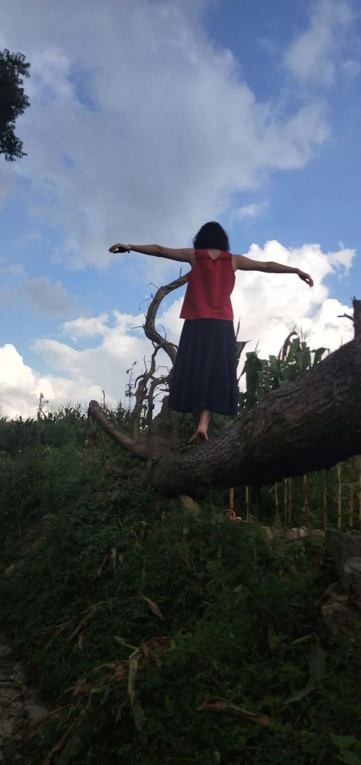 壁纸大全高清手机壁纸,手机壁纸精选高清壁纸