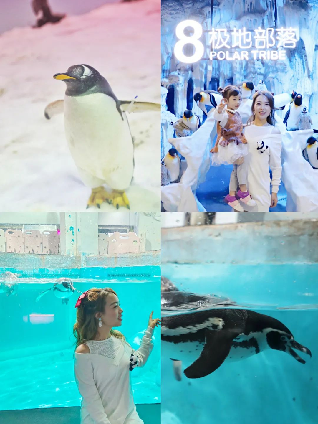 开启非凡住宿万豪旅享家,万豪旅享家邂逅城市五星级酒店