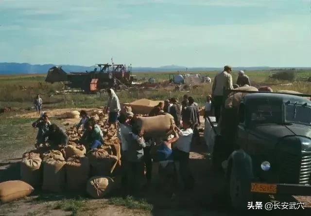 知青往事50年后回知青点,知青点的青春回忆