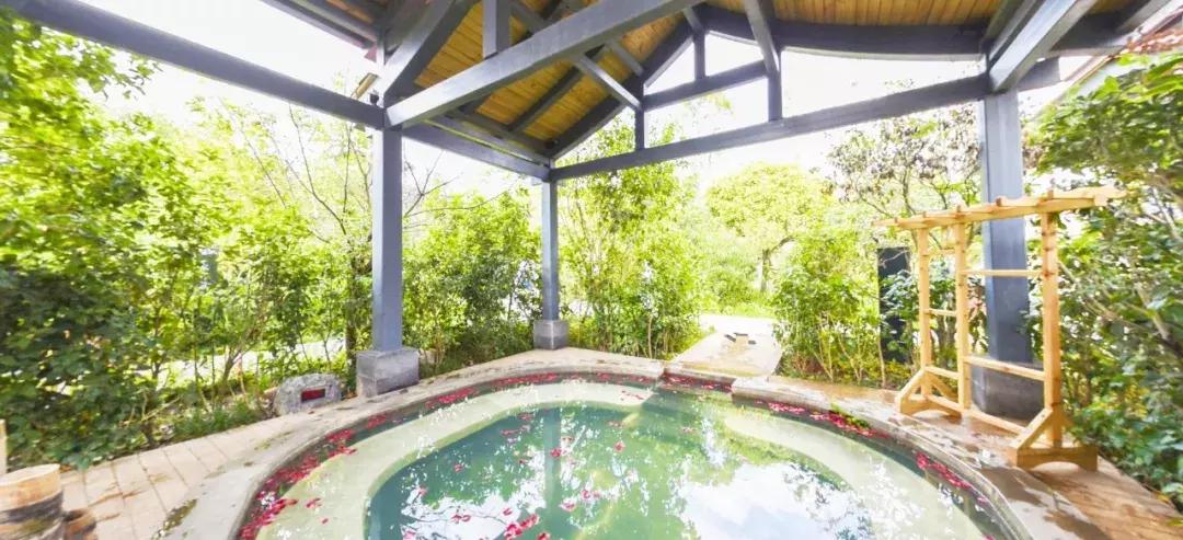 曲靖这31个景点你都去过了吗,曲靖千亩花海美景