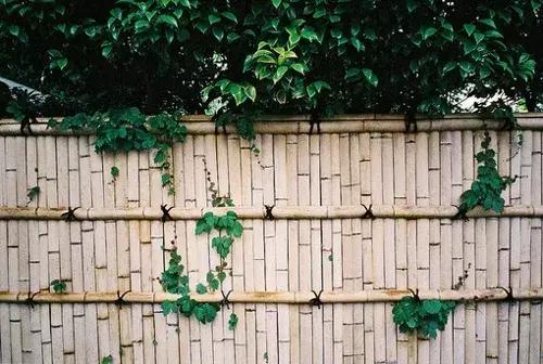 不要害怕矛盾冲突，那是成长的开始