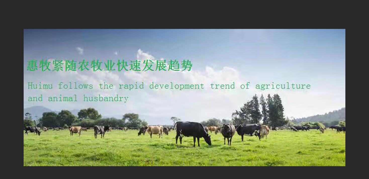 ps怎样解决图片太小放大失真,图片放大后失真用ps怎么处理