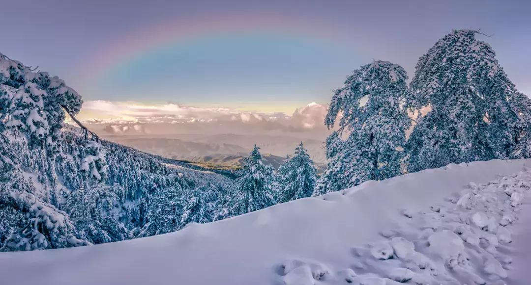 大航海之路爱神之岛塞浦路斯位置,塞浦路斯爱神之岛葡萄酒