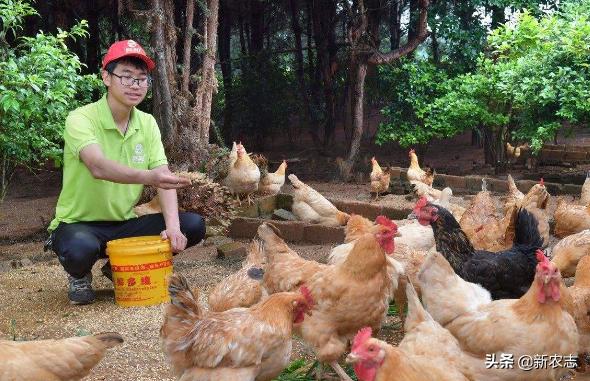 承包1800亩田地一年可以赚多少钱,租地300亩租金1200一年盈利多少