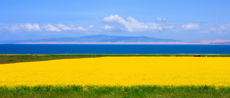 莫笑别人背驼自己把腰挺直啥意思,莫笑别人背驼自己把腰挺直