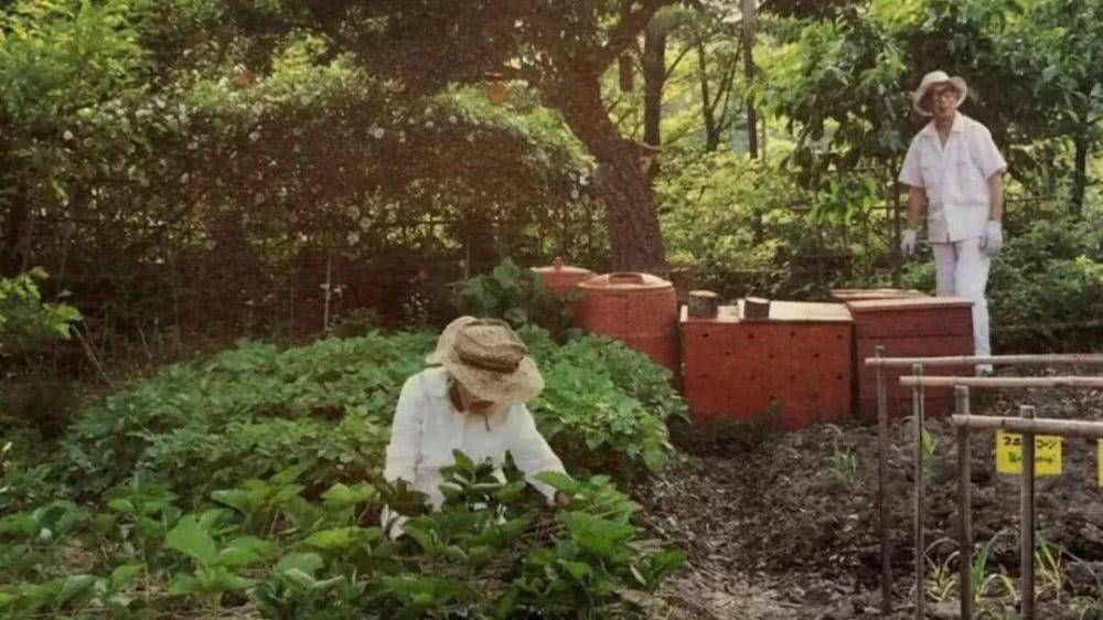 人生果实津端修一,人生果实日本老人纪录片