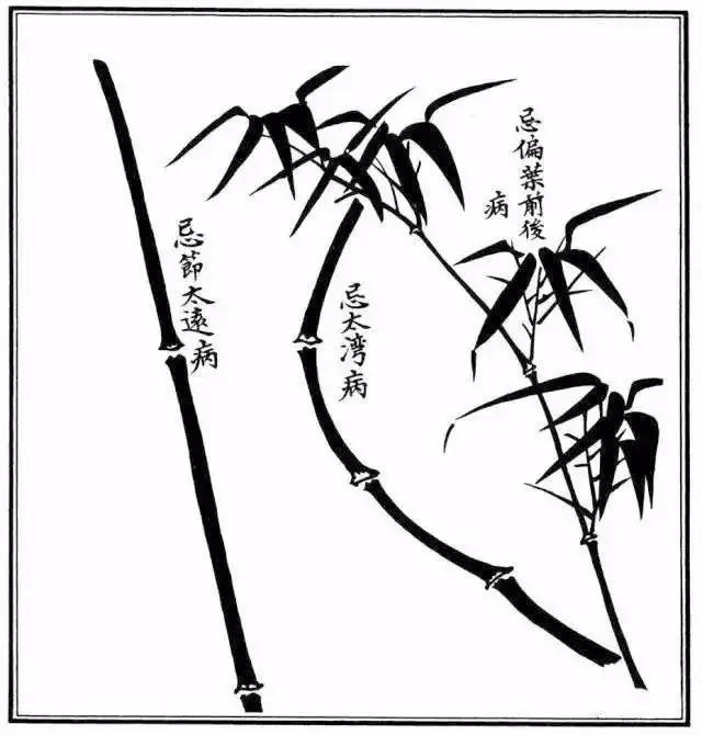 不会绘画怎么画,不会画画如何画草图