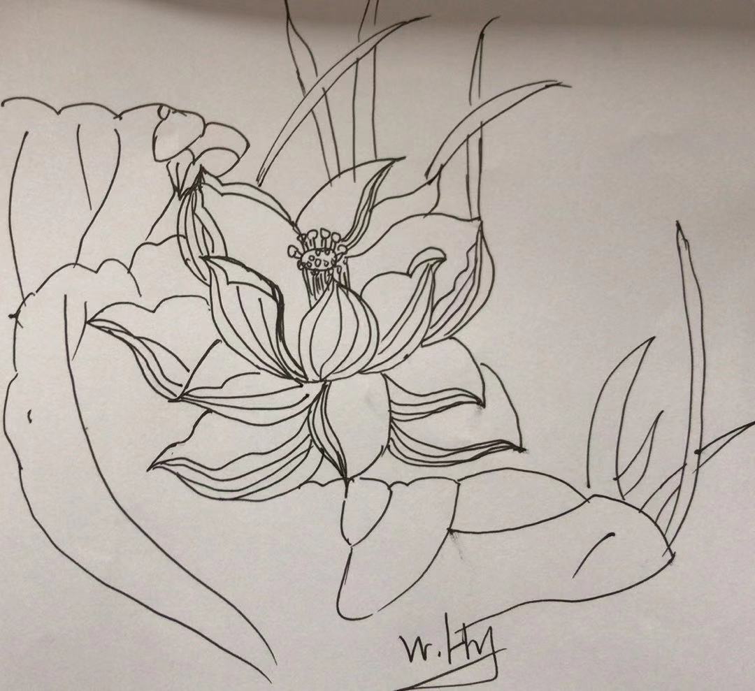 荷花简笔画10000例图片,蜻蜓的简笔画和荷花的简笔画