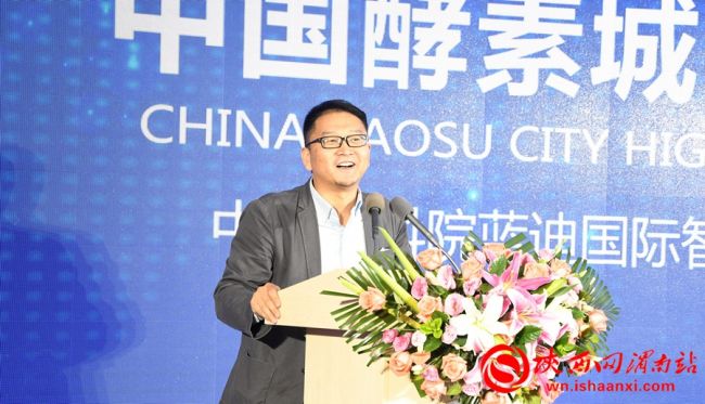 中国酵素城核心区,中国酵素城规划