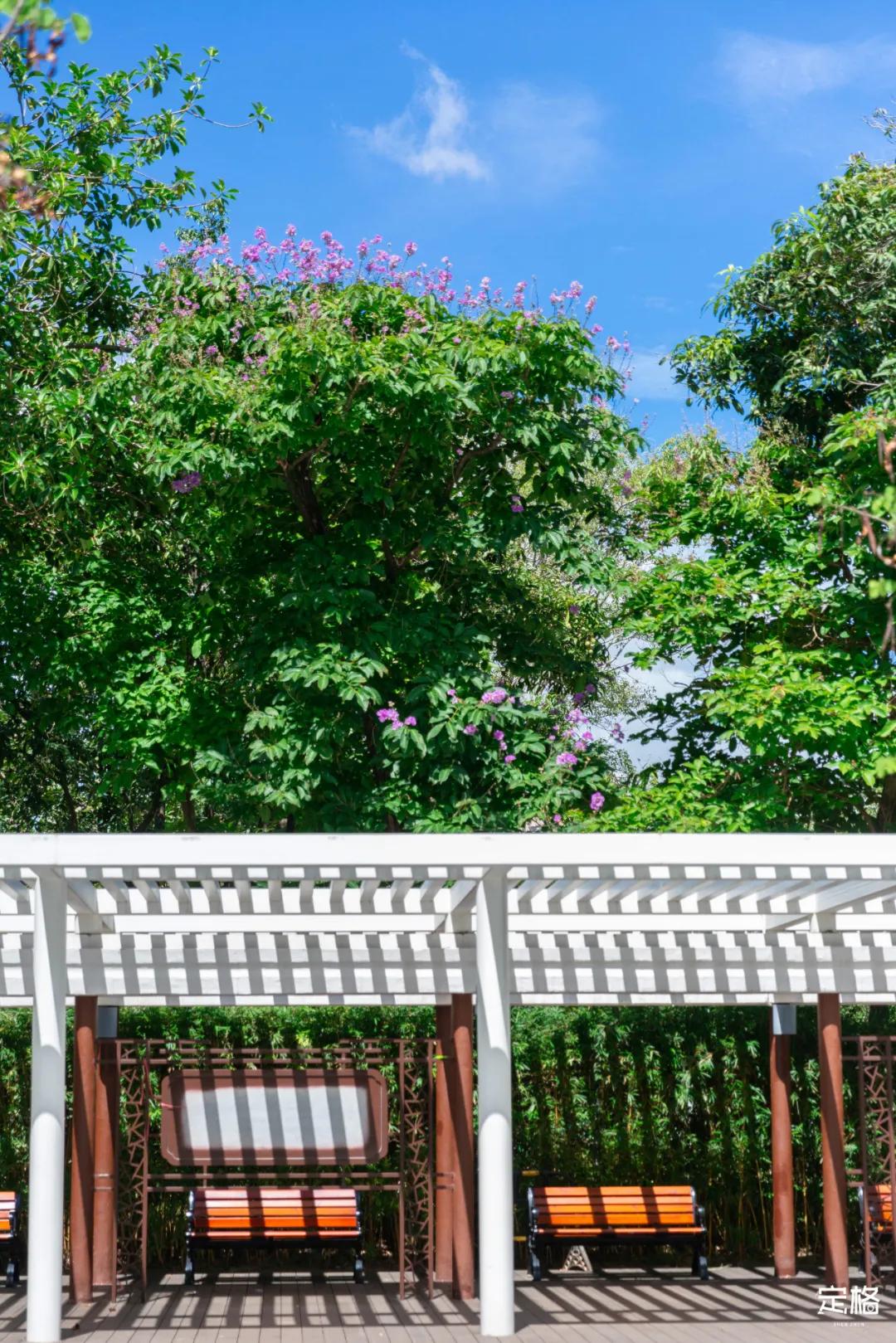 深圳大鹏小众村庄,超小众拍照圣地深圳