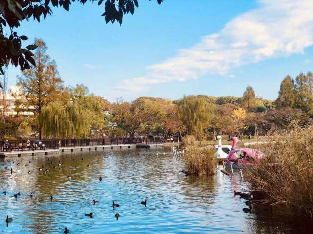 东京到镰仓和箱根攻略,东京箱根富士山镰仓