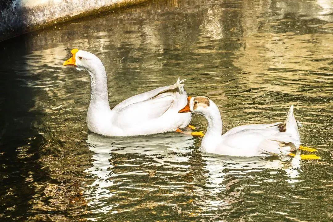 昆明周边好玩的地方青龙峡推荐,昆明青龙峡景区