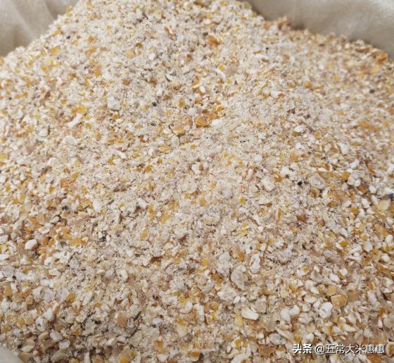 凉山孩子没有爸妈,凉山没父母的孩子