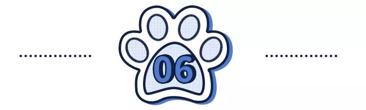 养猫狗常备药,宠物猫狗常用药