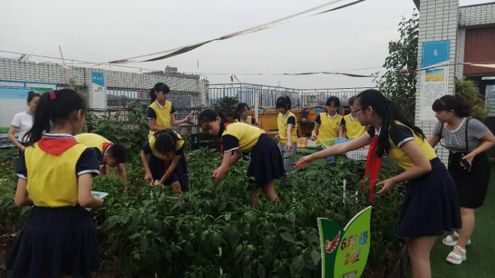 小学农耕节活动,梨树县首届农民丰收节