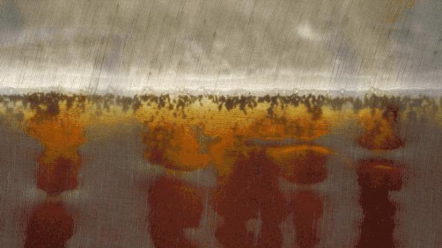 咖啡星巴克特价5.5,星巴克咖啡团购40两杯