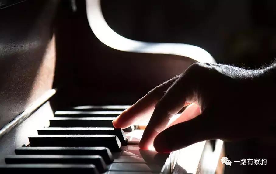 如何评价一首歌曲的旋律,怎么分析一首歌的律动