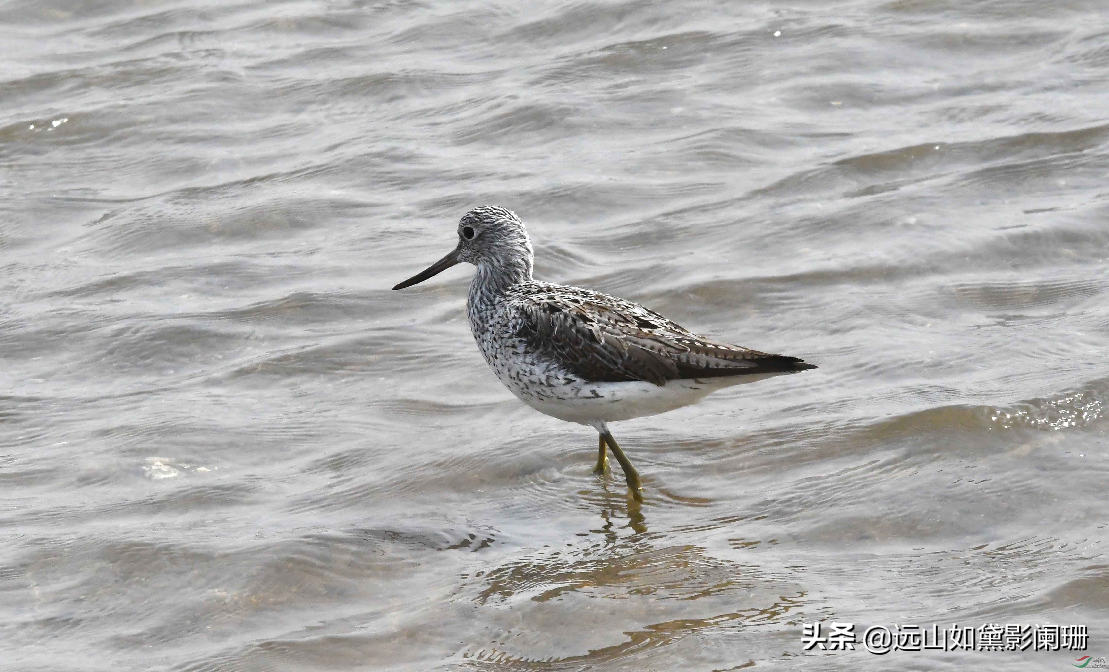 滹沱行思录（一）