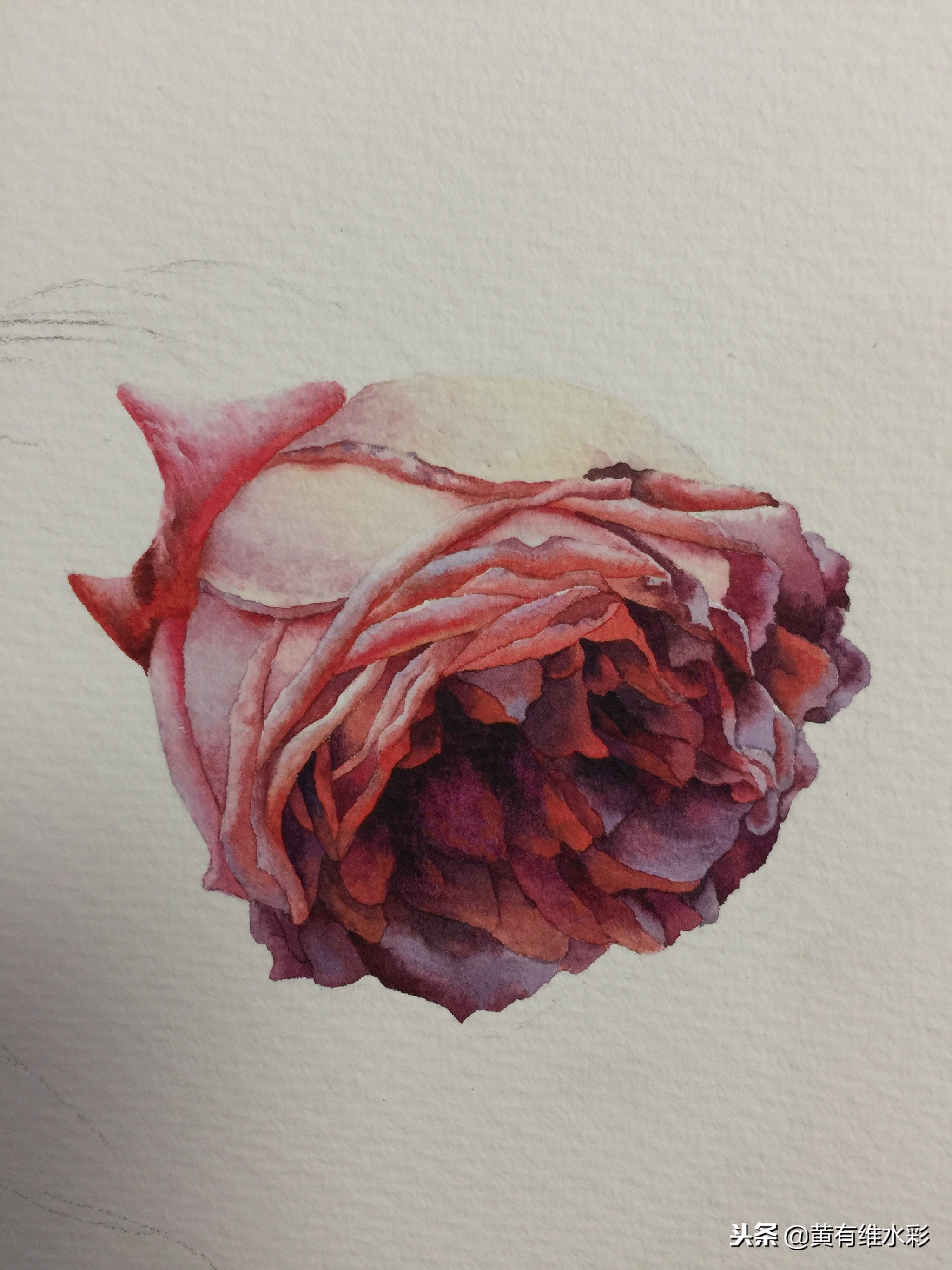 水彩教程简单好看手绘图片,水彩教程画花