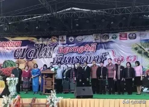 榴莲为啥价格相差那么多,为什么是天价榴莲