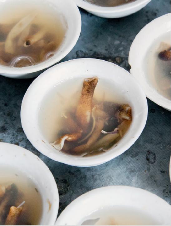 土笋冻出乎意料的好吃,最具福建特色的土笋冻