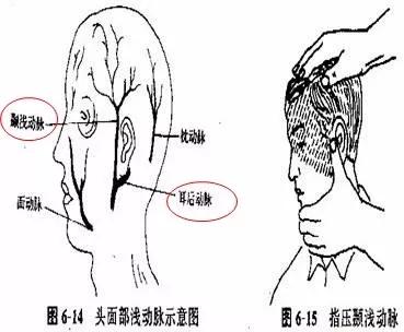 耳朵的耳垂上有深痕是什么原因,耳朵耳垂有一道痕怎么调理