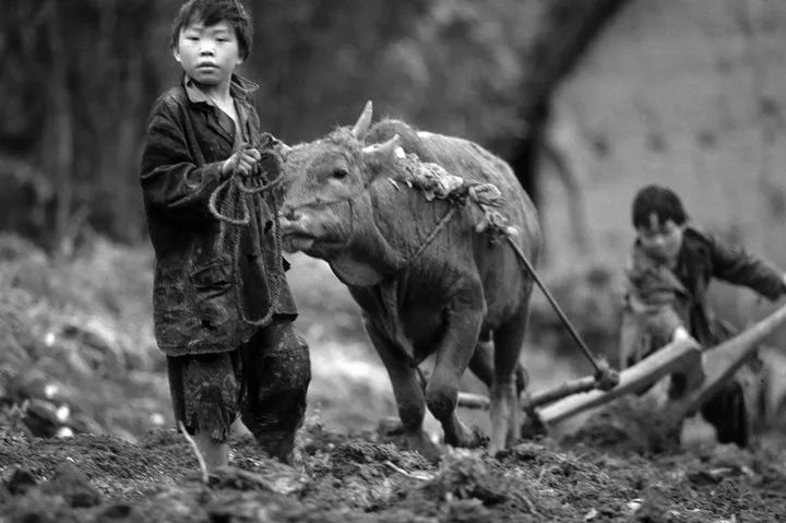 希望工程30周年纪录片,希望工程25周年视频