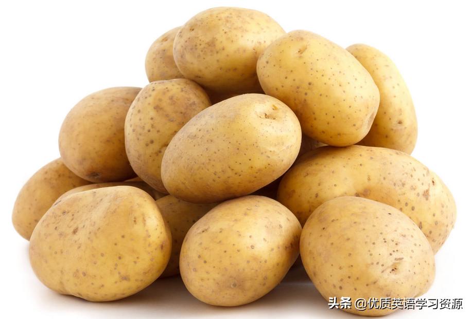 英语healthyfood视频,healthyfood英语外研版