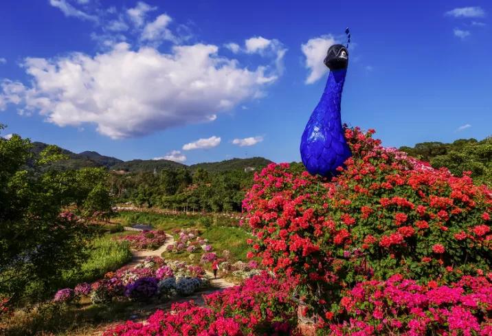 厦门特色旅游小镇,厦门两镇上榜省全域生态旅游小镇