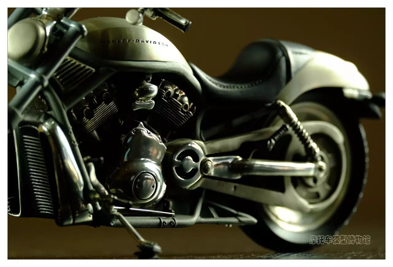 一枚小生,一枚小鲜肉视频