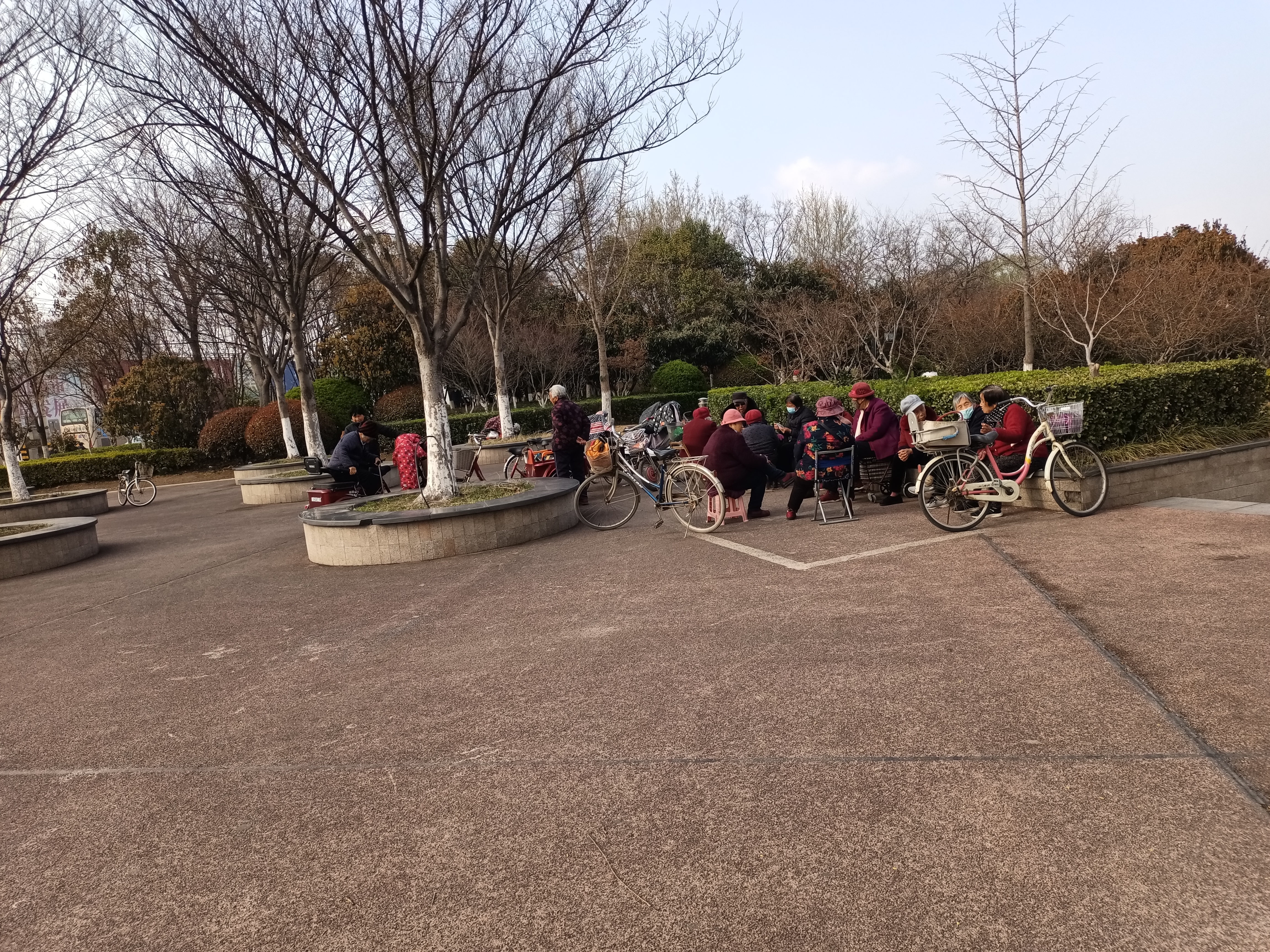 春暖花开正当时，丰县河滨公园成了很多丰县人的休闲胜地