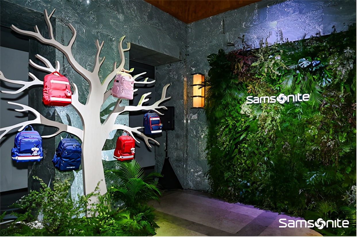 与新秀丽同等价位的行李箱,和新秀丽齐名